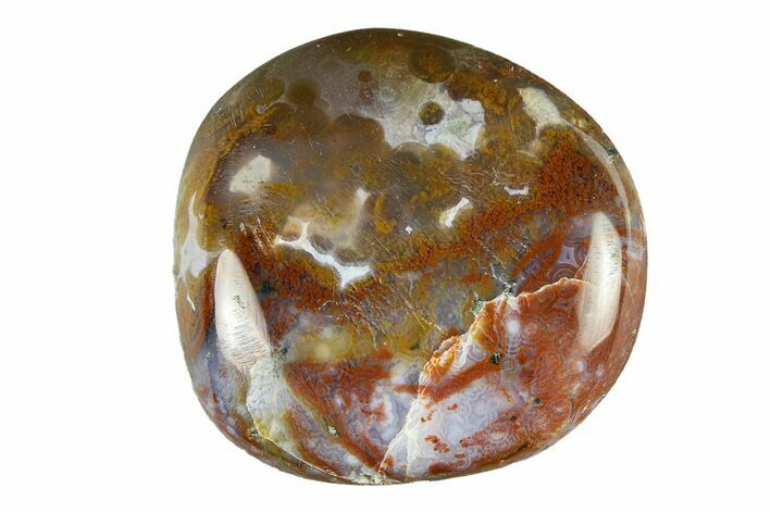 Polished Ocean Jasper Stone - New Deposit #293681